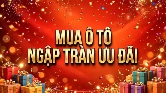 Địa điểm hỗ trợ xem xe tại Quảng Ninh